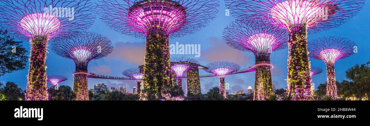 SINGAPOUR, SINGAPOUR - 11 MARS 2018 : vue en soirée de Supertree Grove à Singapour Banque D'Images