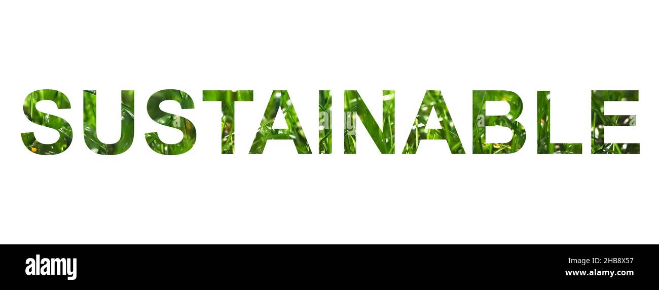 Mot durable isolé sur fond de fourre-tout.Motif Grass Grass. Banque D'Images