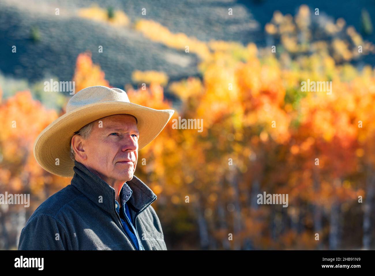 Portrait d'un homme âgé portant un chapeau de cow-boy Banque D'Images