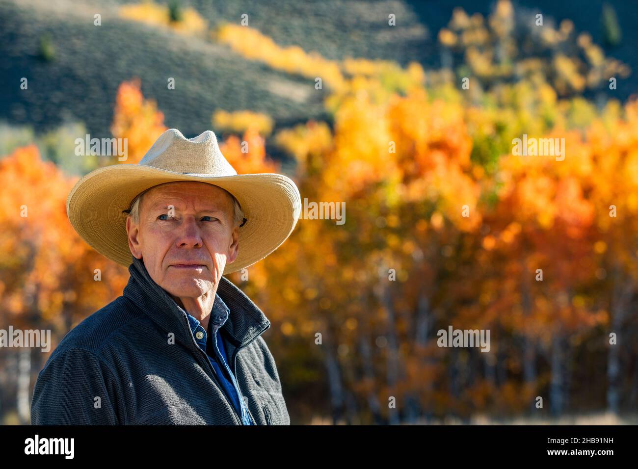 Portrait d'un homme âgé portant un chapeau de cow-boy Banque D'Images
