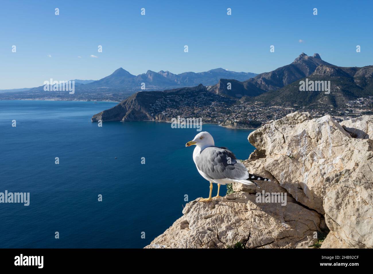 mouette et belles montagnes sur la côte méditerranéenne en espagne Banque D'Images