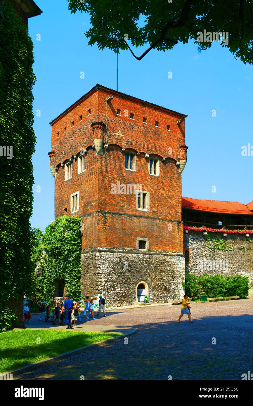 Pologne, Cracovie, château de Wawel, Tour Thief. Banque D'Images