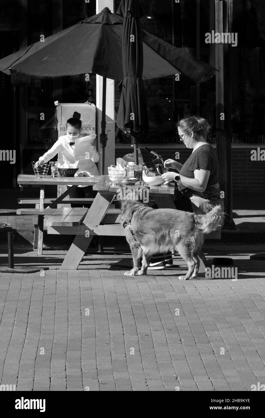 Une femme avec un chien mange un déjeuner aux tables extérieures d'un restaurant à Santa Fe, Nouveau-Mexique. Banque D'Images