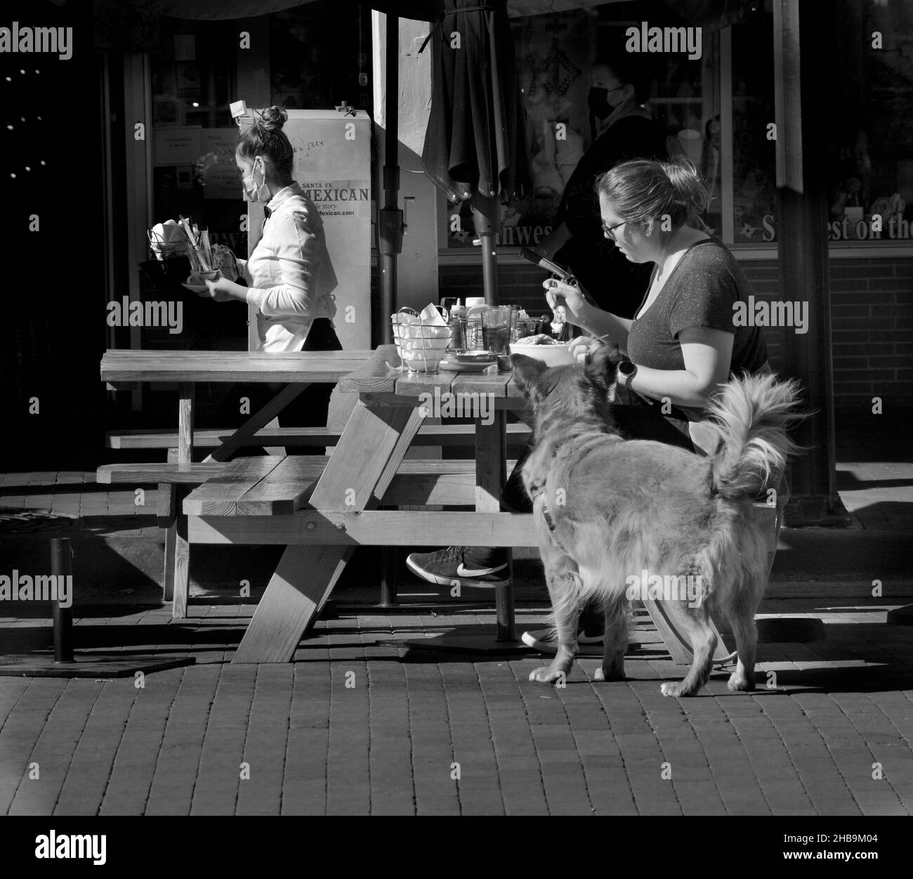 Une femme avec un chien mange un déjeuner aux tables extérieures d'un restaurant à Santa Fe, Nouveau-Mexique. Banque D'Images