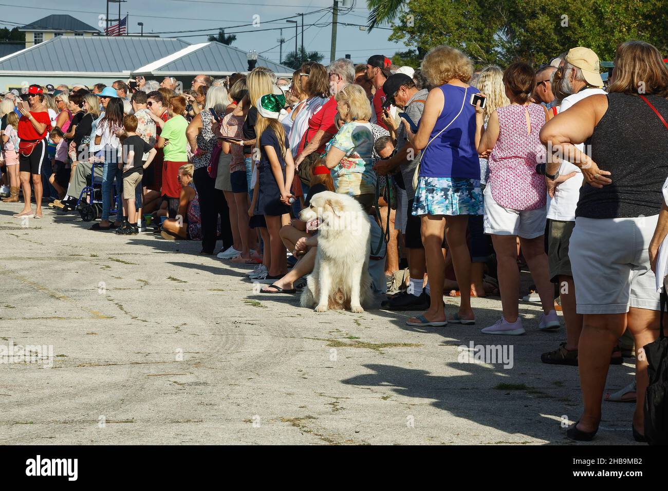foule en attente de l'événement prévu, personnes, tous âges, grand chien blanc, anticipation,debout, en regardant dans une direction Banque D'Images