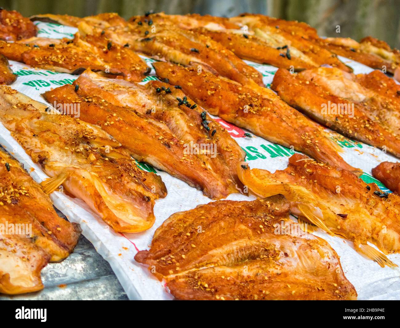 Festin de mouches sur du poisson séché au soleil - long Xuyen, Vietnam Banque D'Images