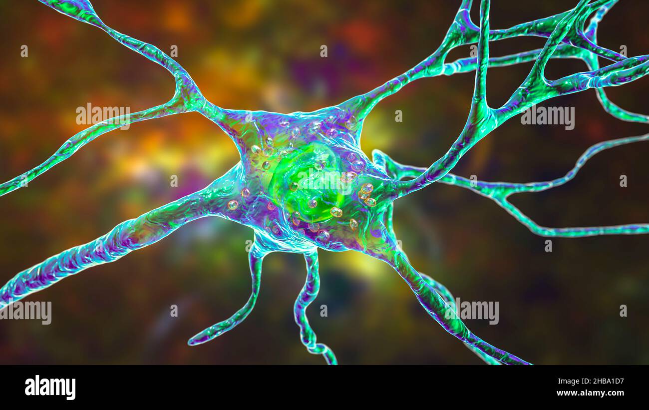 Neurone sain avec lysosomes, illustration. Banque D'Images