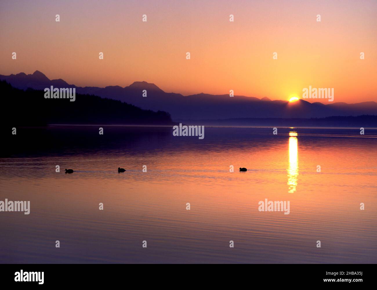 Coucher de soleil sur le lac Simssee, haute-Bavière, Allemagne Banque D'Images