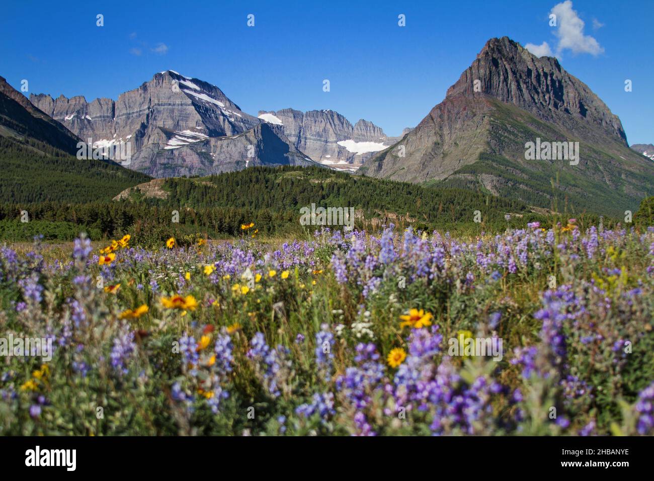 De nombreux glaciers sont situés dans le parc national des Glaciers, dans l'État américain du Montana, aux États-Unis d'Amérique.Une version unique et optimisée d'une image NPS, crédit : NPS/D.Restivo Banque D'Images