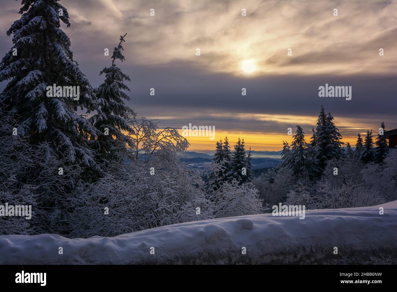 Lever de soleil glacial sur la montagne Vitosha, Sofia, Bulgarie - beau paysage d'hiver - premiers rayons de soleil sur la neige fraîche. Banque D'Images