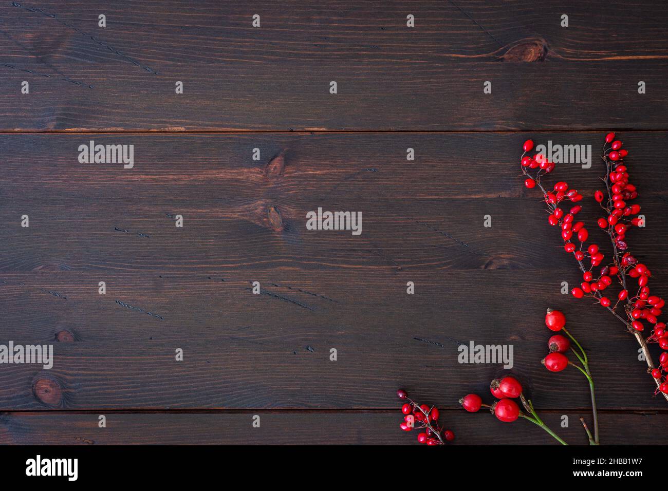 Hiver et arrière-plan de Noël.Branches de chien rose avec hanche rose et barberry rouge sur table rustique en bois brun foncé.Gabarit de pose à plat. Banque D'Images