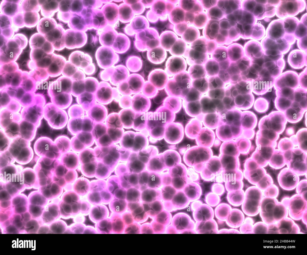 Cellules, micro-organismes, formation de la vie.Duplication de cellule.Formation de batteries et de micro-organismes vus sous un microscope.Texture des bactéries Banque D'Images