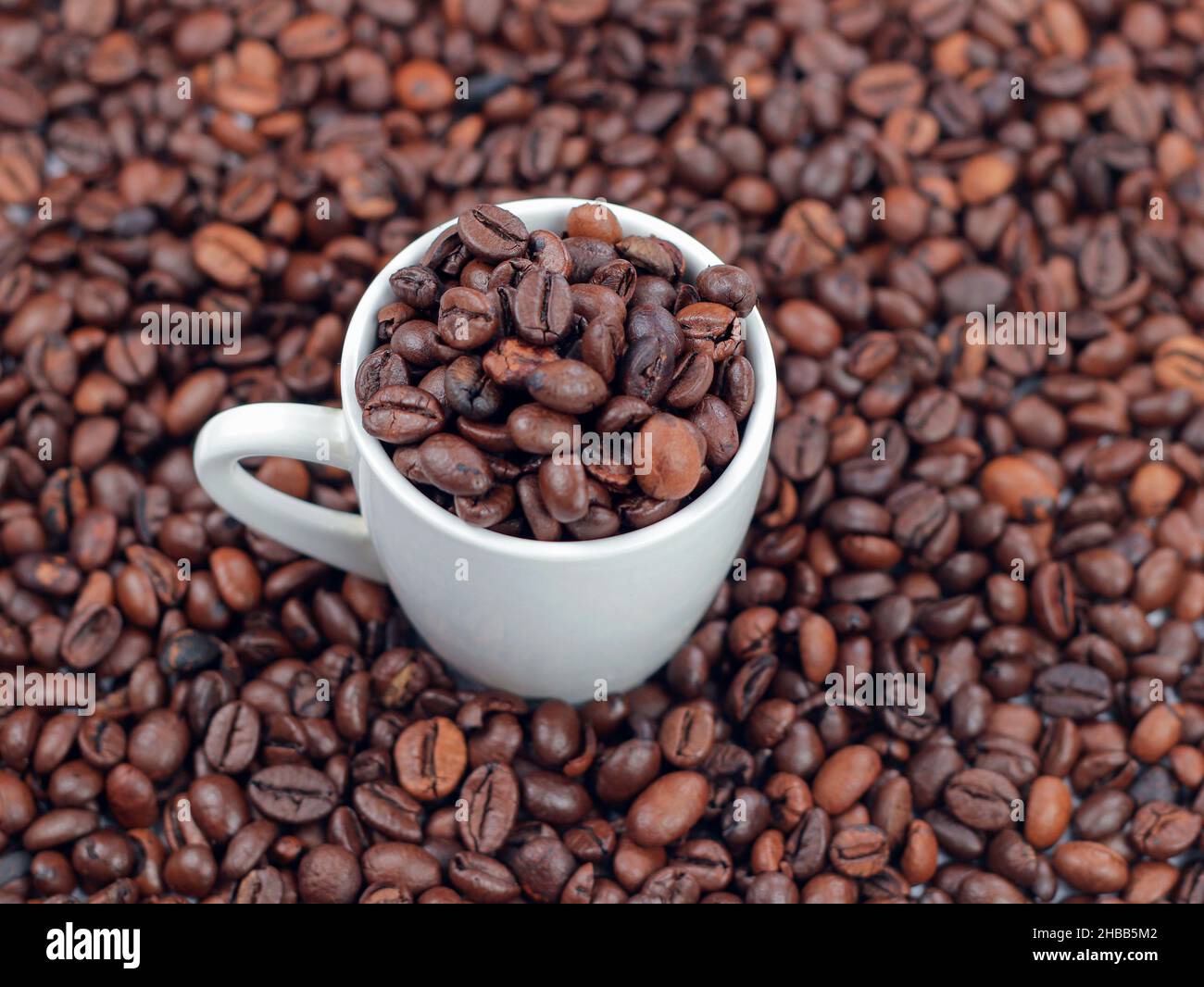 Grains de café rôtis et une tasse blanche. Banque D'Images