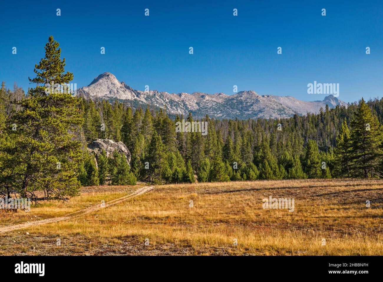 Sentier Big Sandy Lake, chaîne de Wind River, forêt nationale de Bridger Teton, Wyoming, États-Unis Banque D'Images