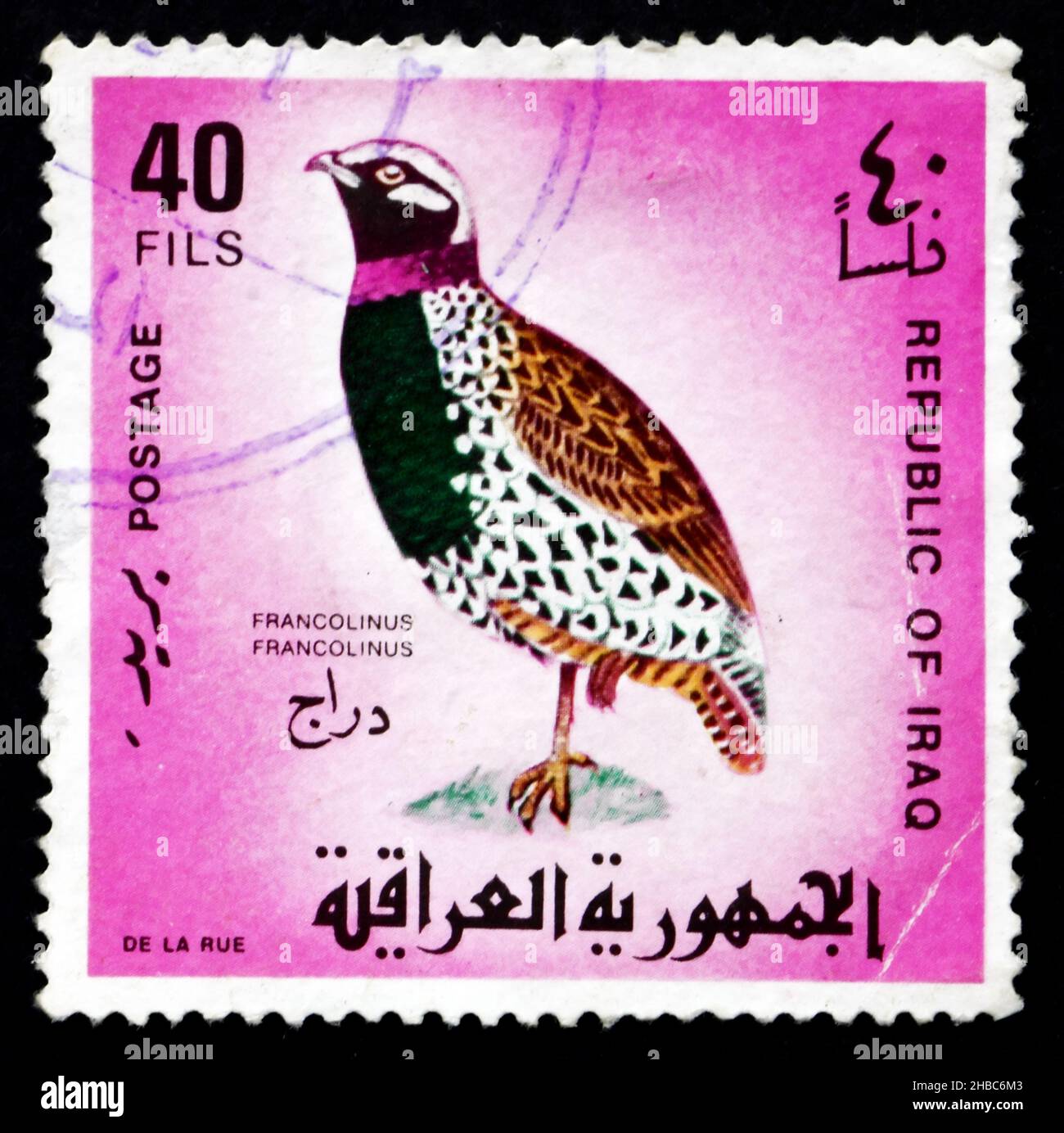 IRAK - VERS 1968 : un timbre imprimé en Irak montre le Black Francolin, le Black Partridge, Francolinus Francolinus, Gamebird, vers 1968 Banque D'Images IRAK - VERS 1968 : un timbre imprimé en Irak montre le Black Francolin, le Black Partridge, Francolinus Francolinus, Gamebird, vers 1968 Banque D'Images