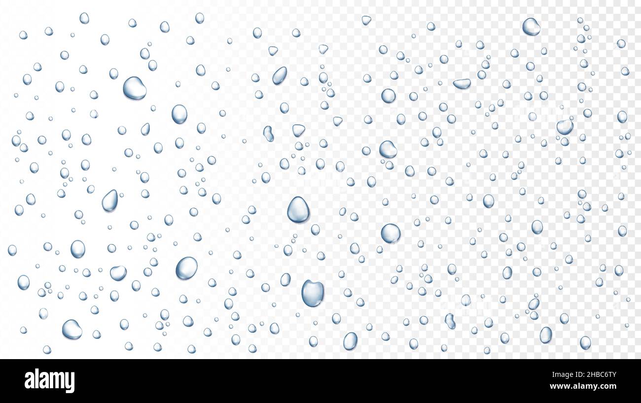 La pluie d'eau tombe sur la fenêtre, condensation de vapeur de douche sur le verre.Gouttes de pluie réalistes, gouttes de pluie sur un arrière-plan vectoriel de surface transparent.Pur A. Illustration de Vecteur