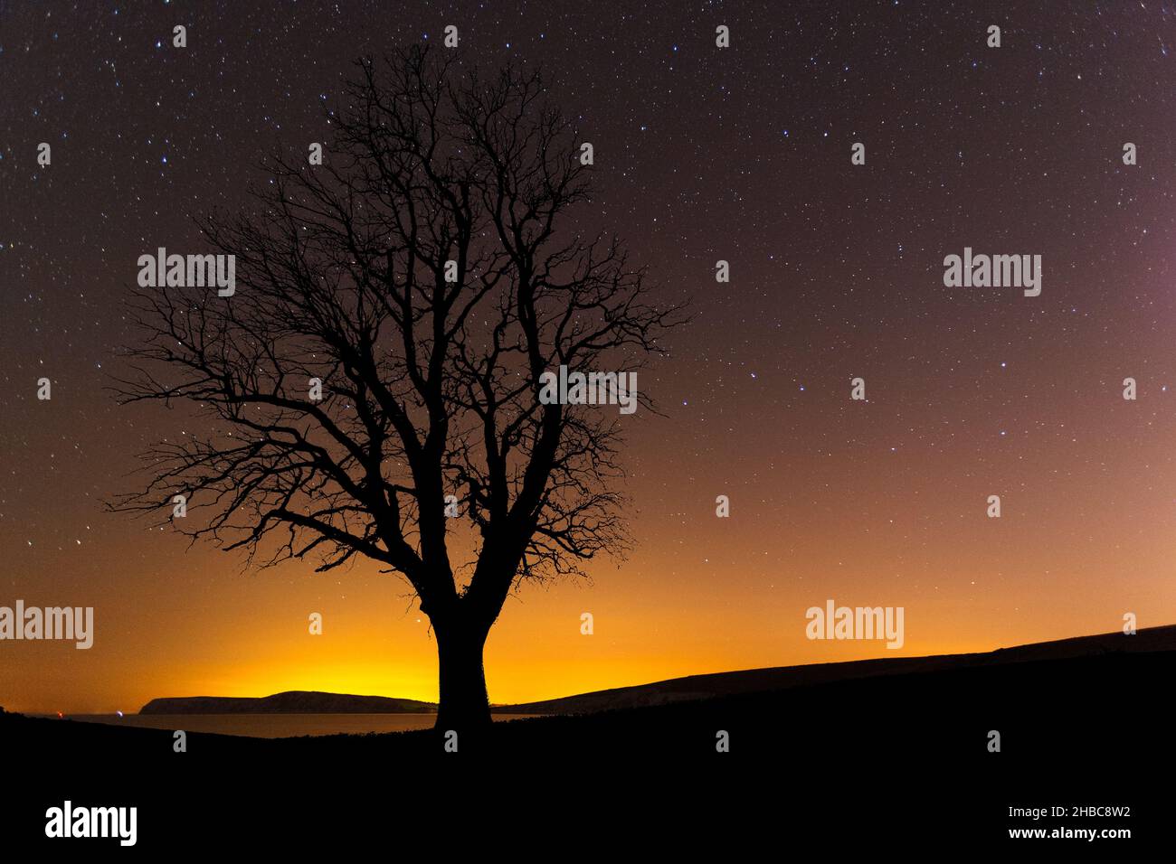 Hiver,Chêne,arbre,silhouette,crépuscule,coucher de soleil,ciel,étoiles,champs,ferme,mer,Compton Bay,eau douce,Tennyson Down,Ile de Wight,Angleterre,Royaume-Uni, Banque D'Images