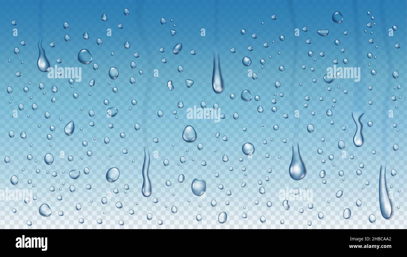 Gouttes de pluie réalistes sur le verre de fenêtre, condensation de douche de vapeur.Gouttes d'eau qui pleuvent, gouttes de pluie claires sur un arrière-plan vectoriel transparent.Fond dégradé bleu avec breloques fluides Illustration de Vecteur