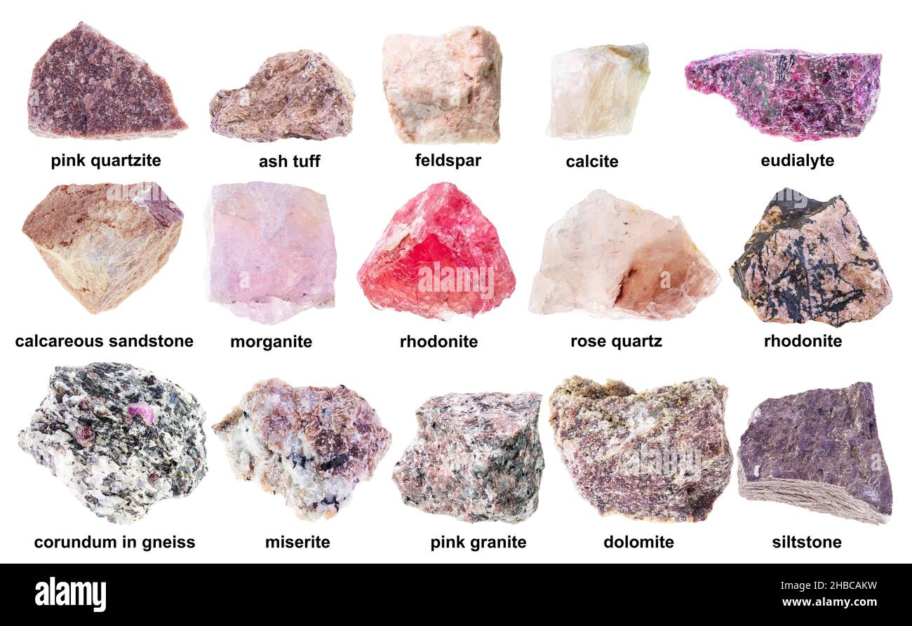ensemble de diverses pierres roses brutes avec noms découpés sur fond blanc Banque D'Images