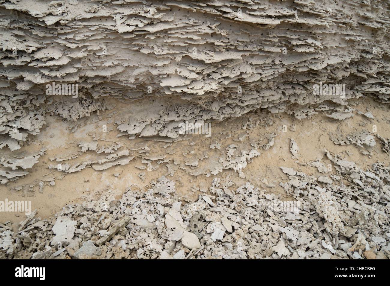 Grainstone, ou rochers et pierres de kurkar, typique des rives méditerranéennes. Banque D'Images