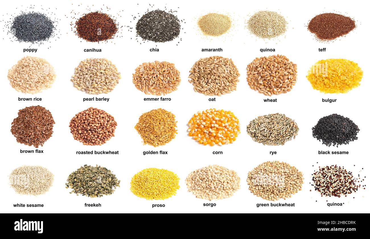 ensemble de piles de grains comestibles variuos avec noms découpés sur fond blanc Banque D'Images