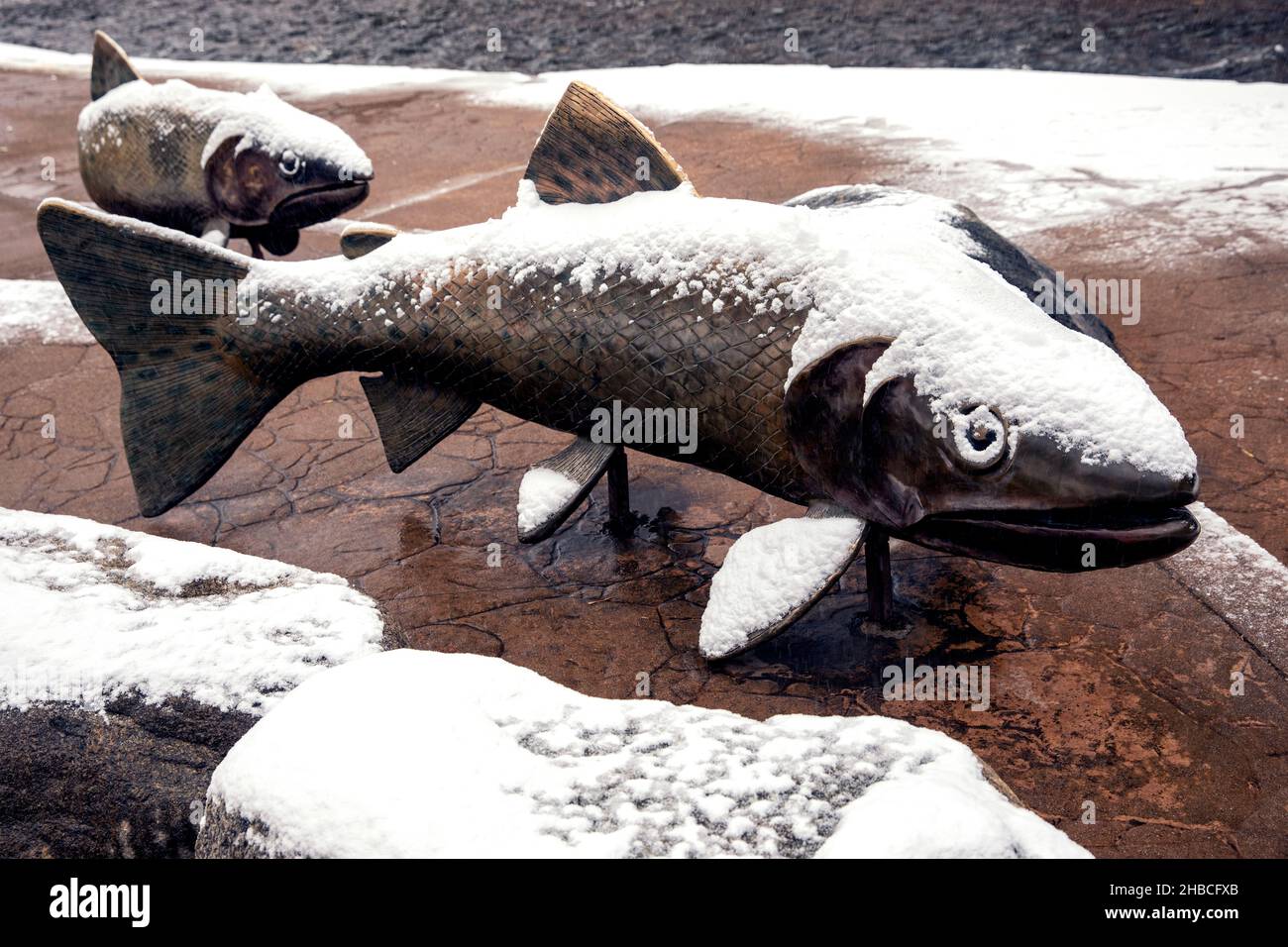 Retour de la truite fardée # 2 art sculpture publique couvertes de neige. Par Artiste : Pat Madison. Sentier du ruisseau clair - Golden, Colorado, USA Banque D'Images