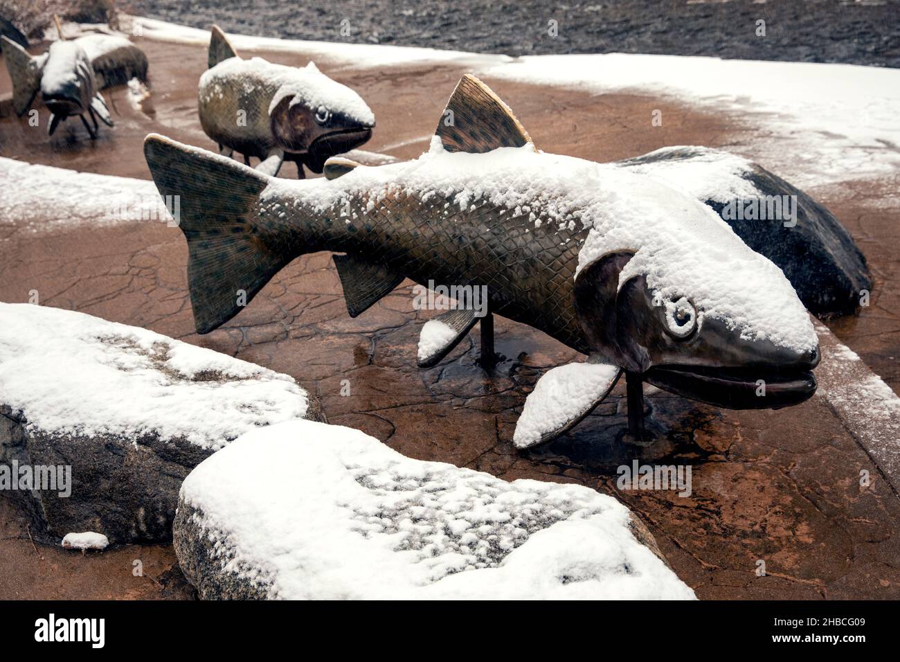 Retour de la truite fardée # 2 art sculpture publique couvertes de neige. Par Artiste : Pat Madison. Sentier du ruisseau clair - Golden, Colorado, USA Banque D'Images