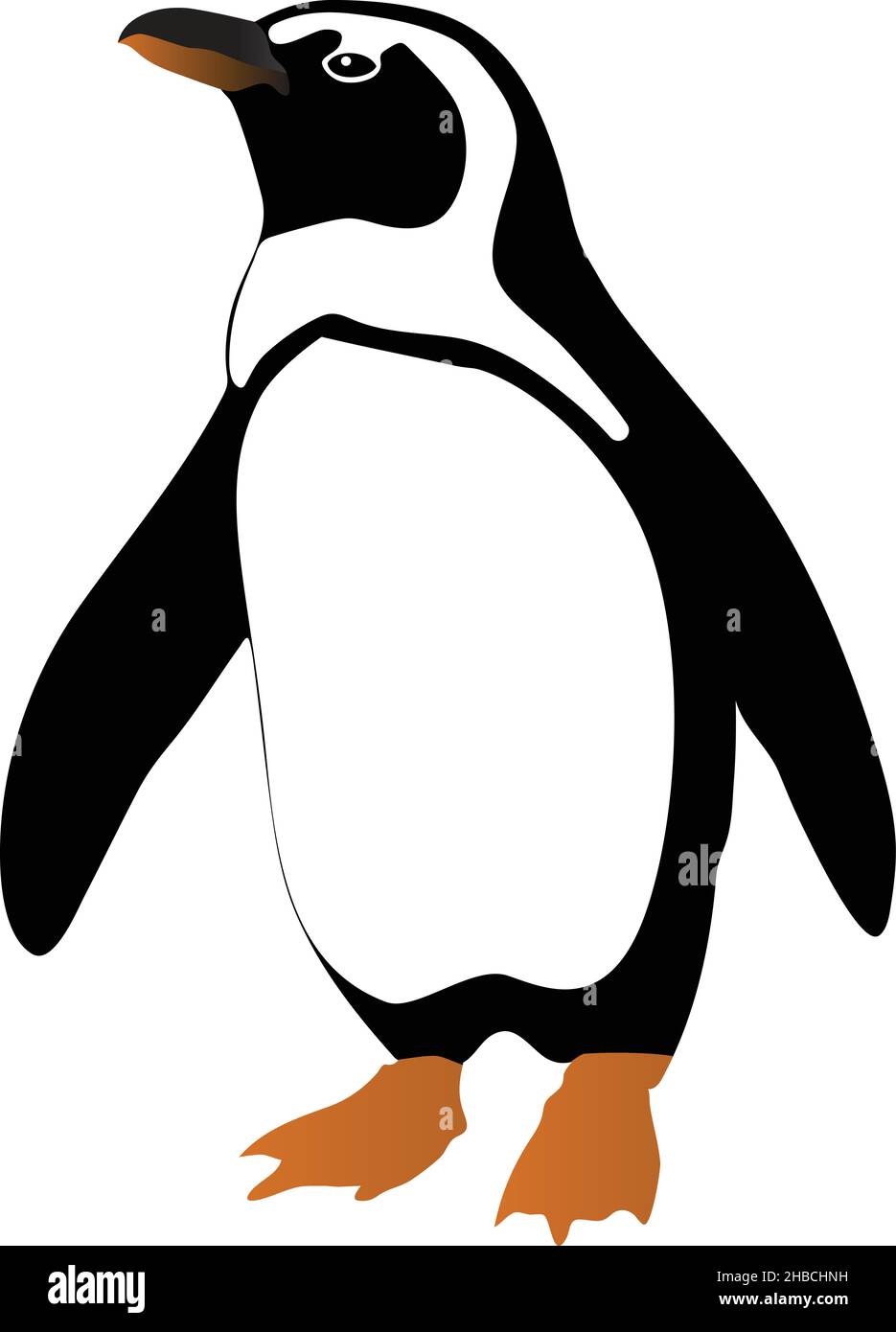 Illustration du vecteur de couleur Penguin isolée Illustration de Vecteur