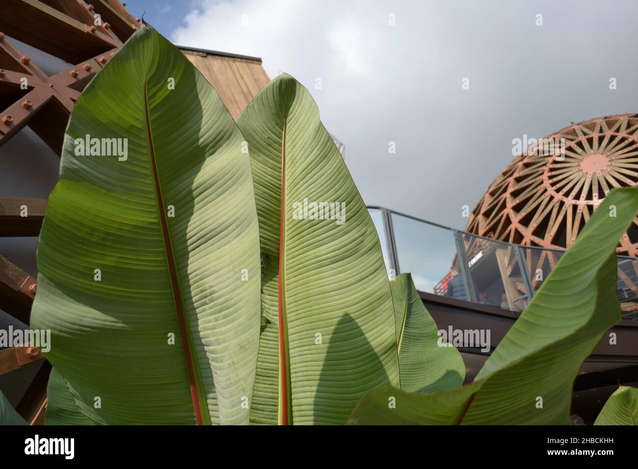 Milan, Italie - 20 octobre 2015 : magnifique paysage tropical avec banana autour du pavillon de Malaisie à l'EXPO Milano 2015 Banque D'Images