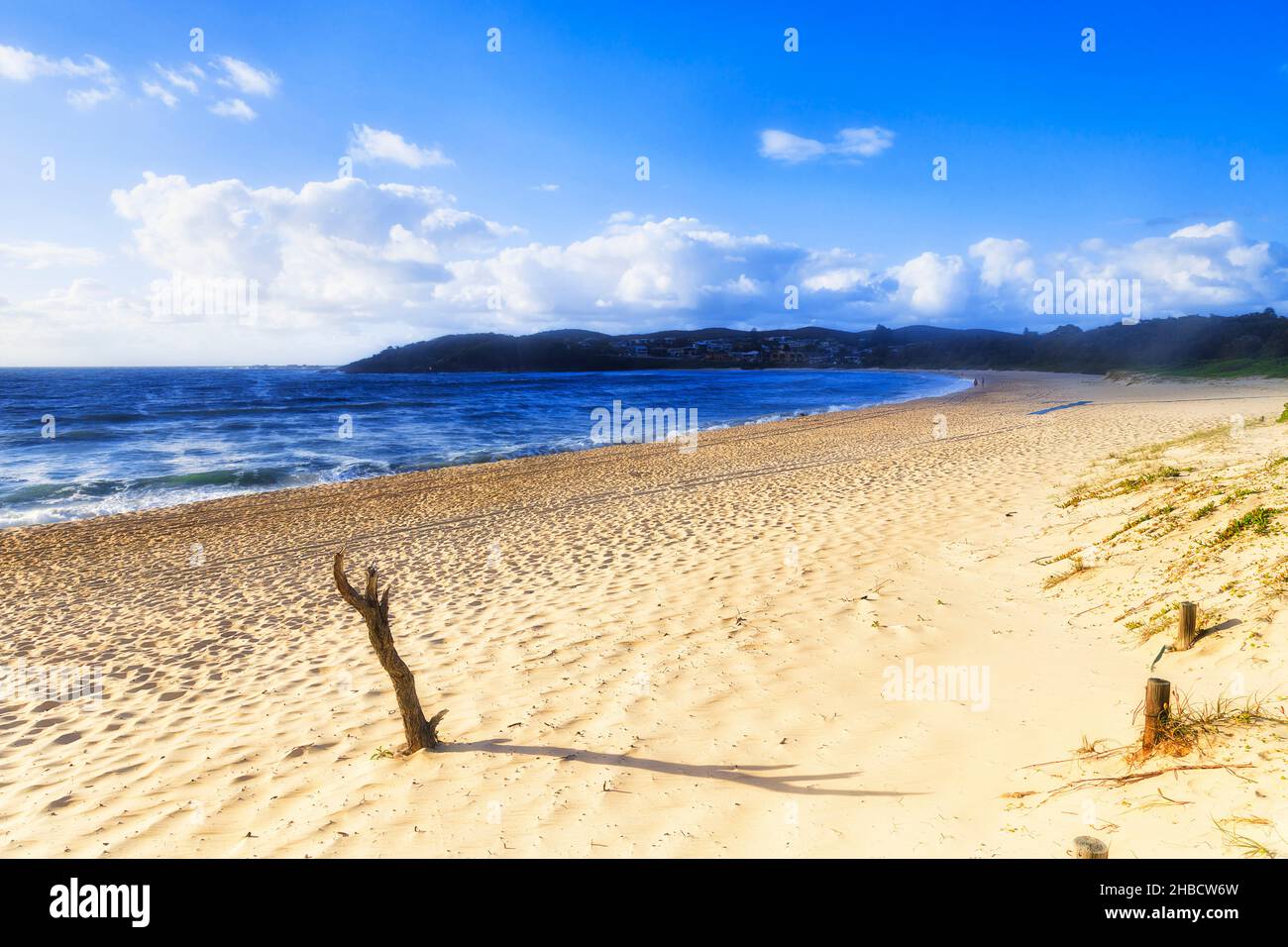 Restez sur le sable propre de la plage de Fingal au large de la côte du pacifique australien - parc national de Tomaree à la lumière du matin. Banque D'Images