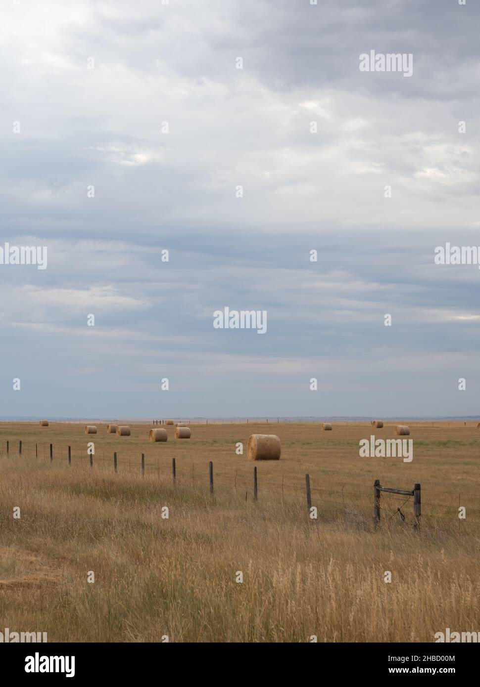 Champ avec de grandes balles rondes de foin dans le Montana et une clôture en fil barbelé coupant dans le champ.Nuages noirs d'orage au-dessus de la tête.L'image dispose d'un espace de copie. Banque D'Images