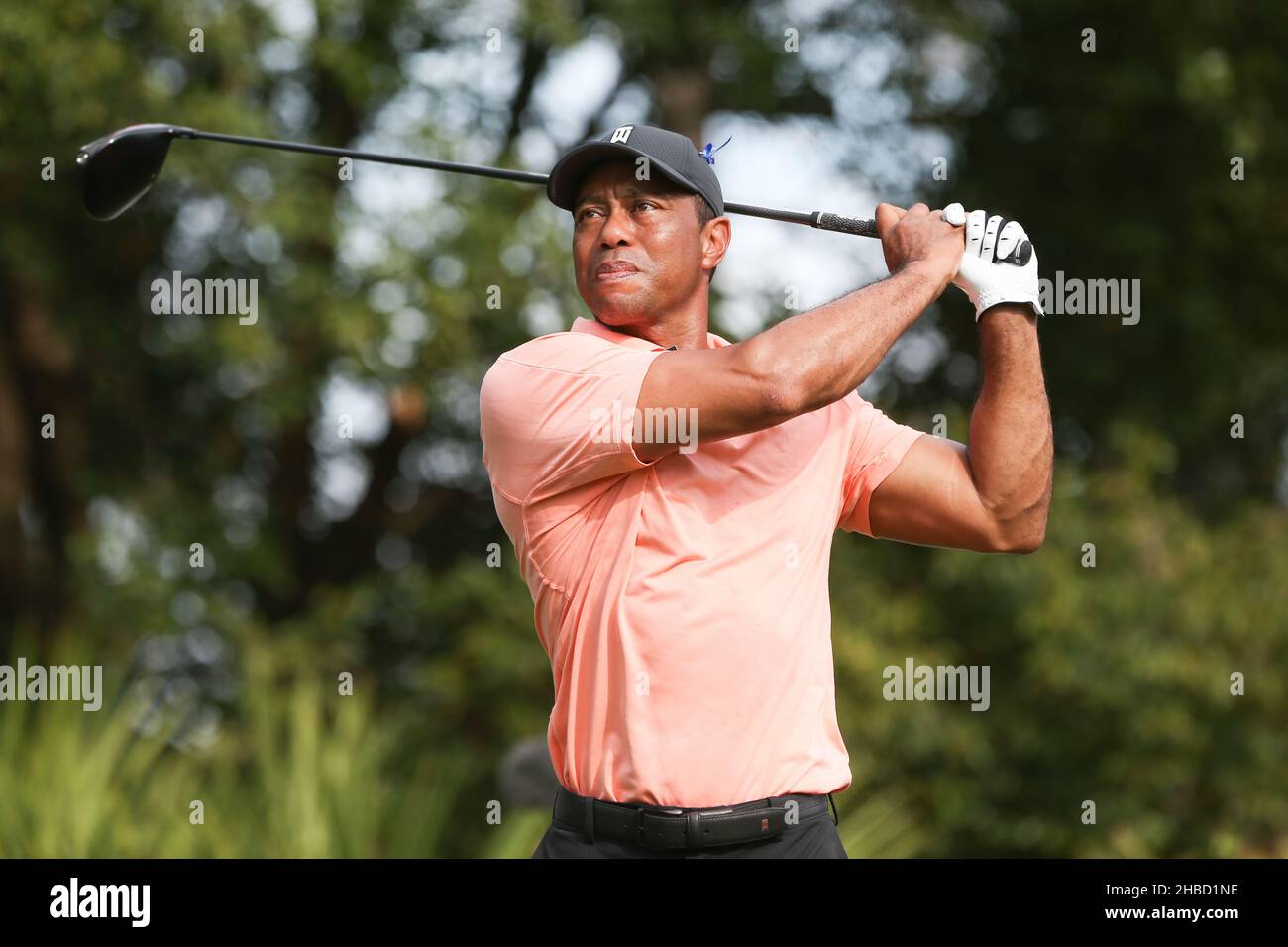 Orlando, Floride, États-Unis.18th décembre 2021.Tiger Woods débarque au deuxième tour du championnat PNC au Ritz-Carlton Golf Club d'Orlando, en Floride.(Credit image: © Debby Wong/ZUMA Press Wire) Credit: ZUMA Press, Inc./Alamy Live News Banque D'Images