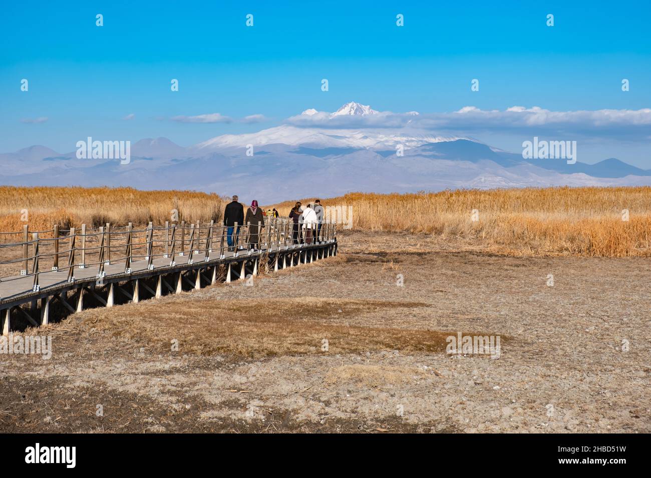 Personnes marchant sur un pont en bois à côté de roseaux secs et Erciyes Mountain fond dans Sultan Sazligi, Kayseri, Turquie. Banque D'Images