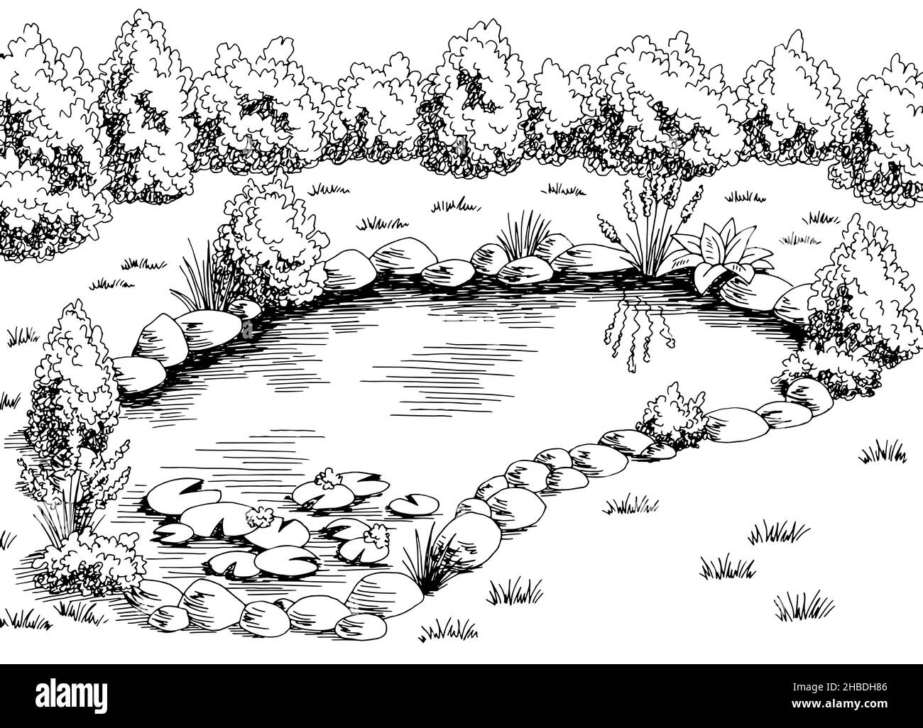 Pond Graphic noir blanc paysage dessin illustration vecteur Illustration de Vecteur