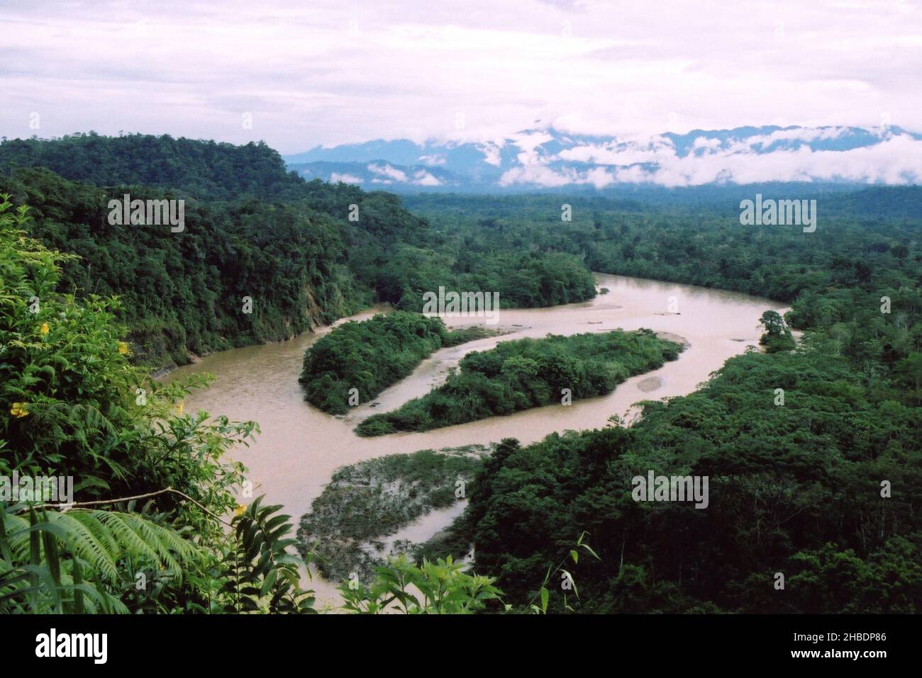 Napo River - un affluent de l'Amazone et de la forêt tropicale, en Équateur Banque D'Images