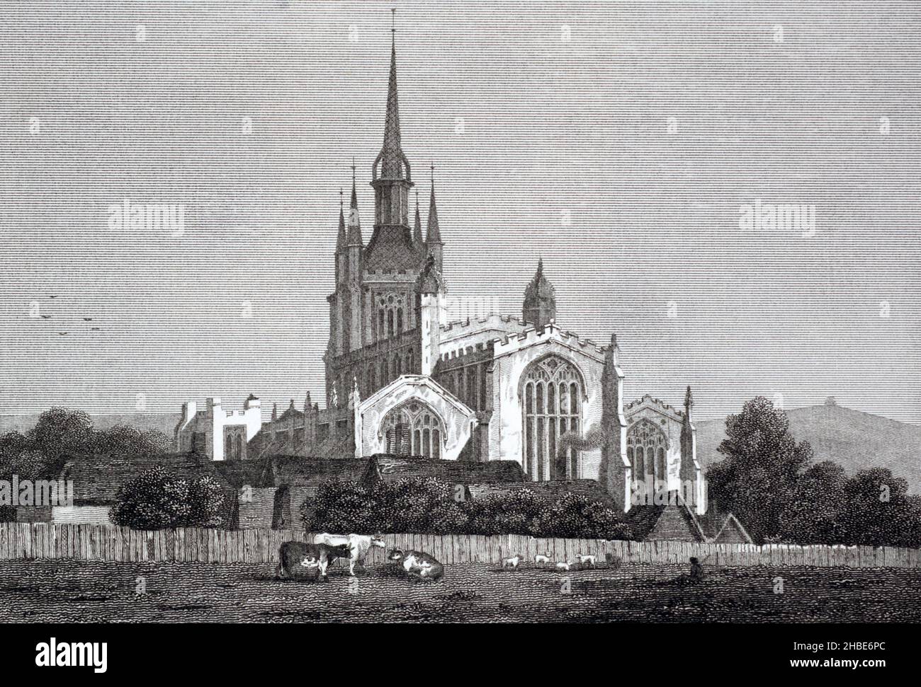 Une vue historique de l'église Saint-Jean à Thaxted, Essex, Angleterre, Royaume-Uni.Gravé par Sands à partir d'un dessin de Grove pour les « beautés de l'Angleterre et du pays de Galles ».C. 1812. Banque D'Images