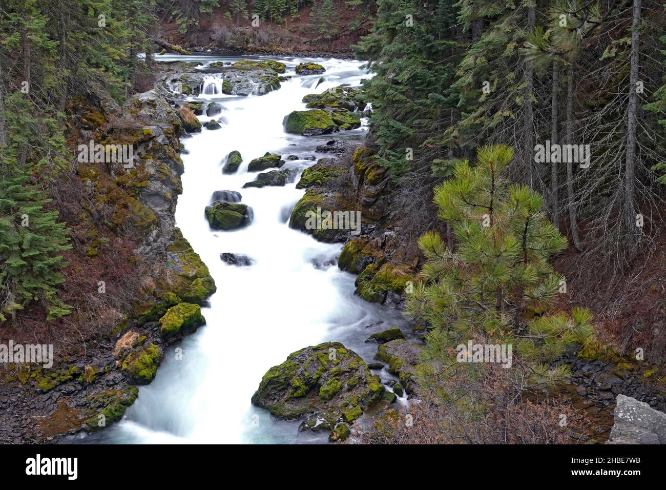 Vue d'ensemble des chutes Benham, l'une des plus grandes chutes d'eau de la rivière Deschutes, dans le centre de l'Oregon.La rivière se dirige dans les Cascades de l'Oregon, et s'étend jusqu'à la rivière Columbia. Banque D'Images