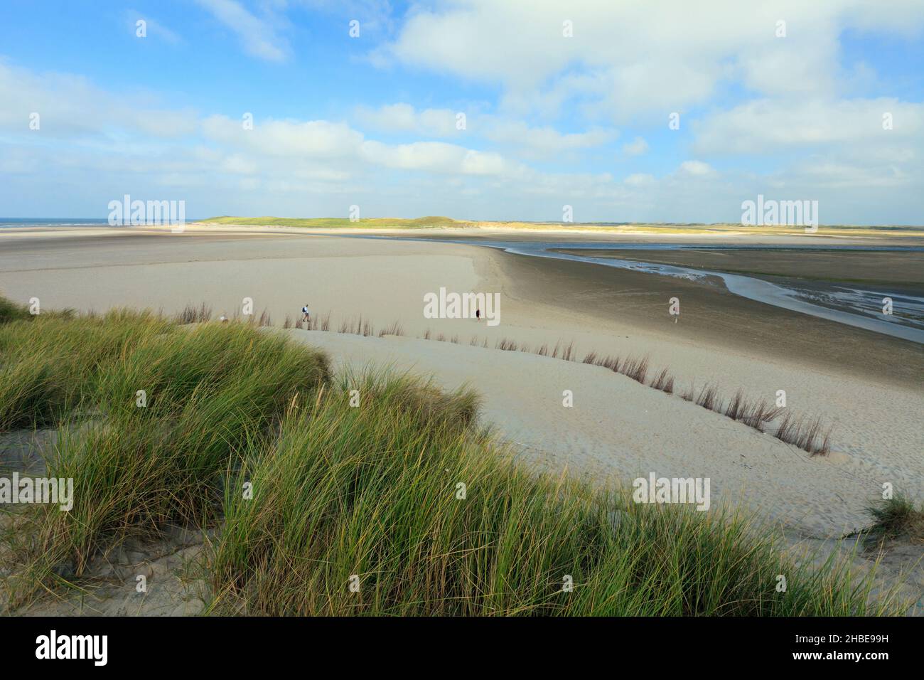 Réserve naturelle, de Slufter, avec ruisseau marécageuses et herbe de Marram, île de Texel, Hollande, Europe Banque D'Images