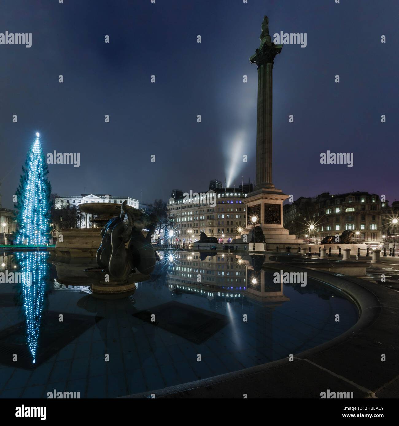 Noël à Trafalgar Square, avec le géant arbre de Noël norvégien offert au Royaume-Uni chaque année par le peuple norvégien Banque D'Images