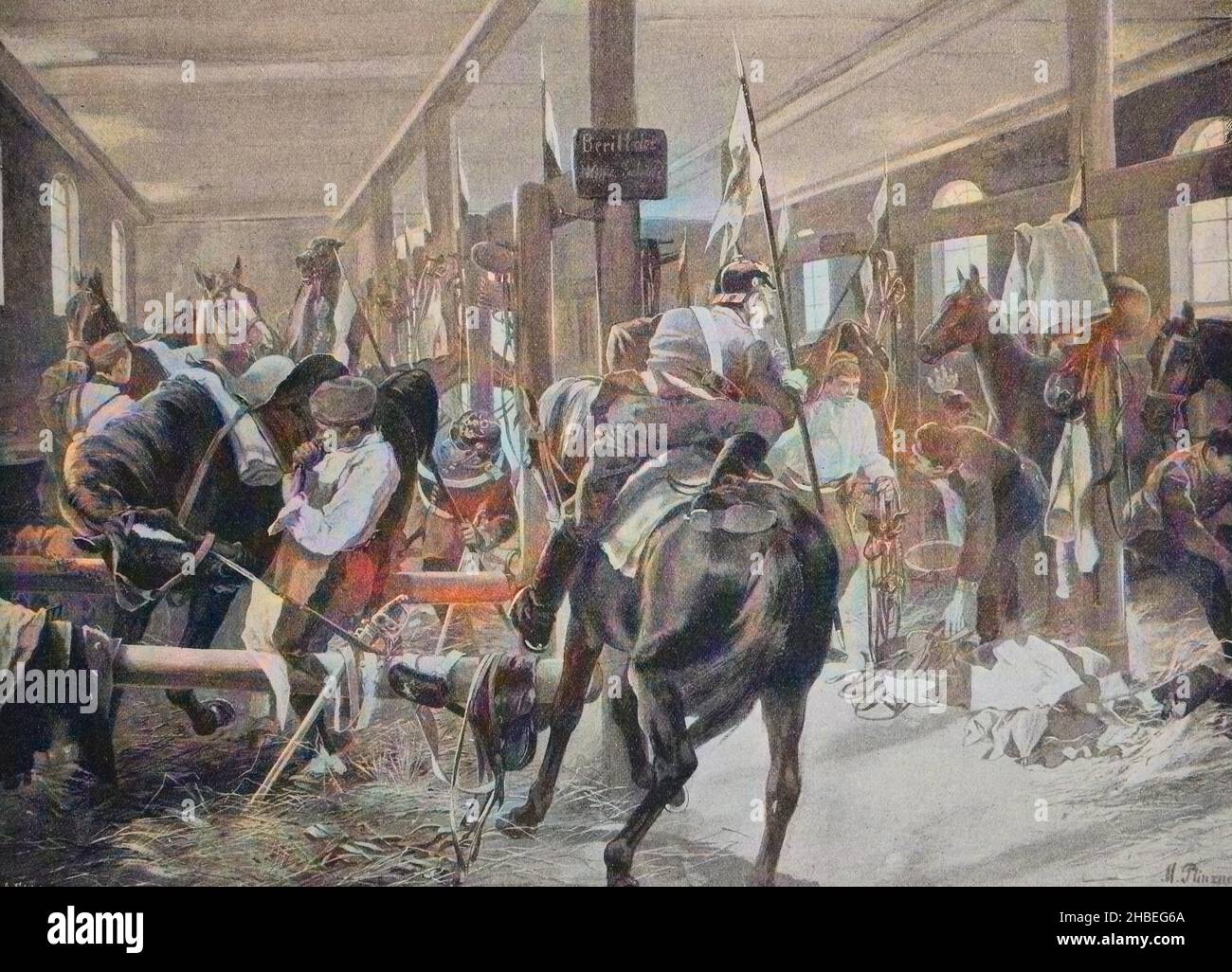 Ligne D'Entraînement De Lunge British Army Monté Reg Cheval