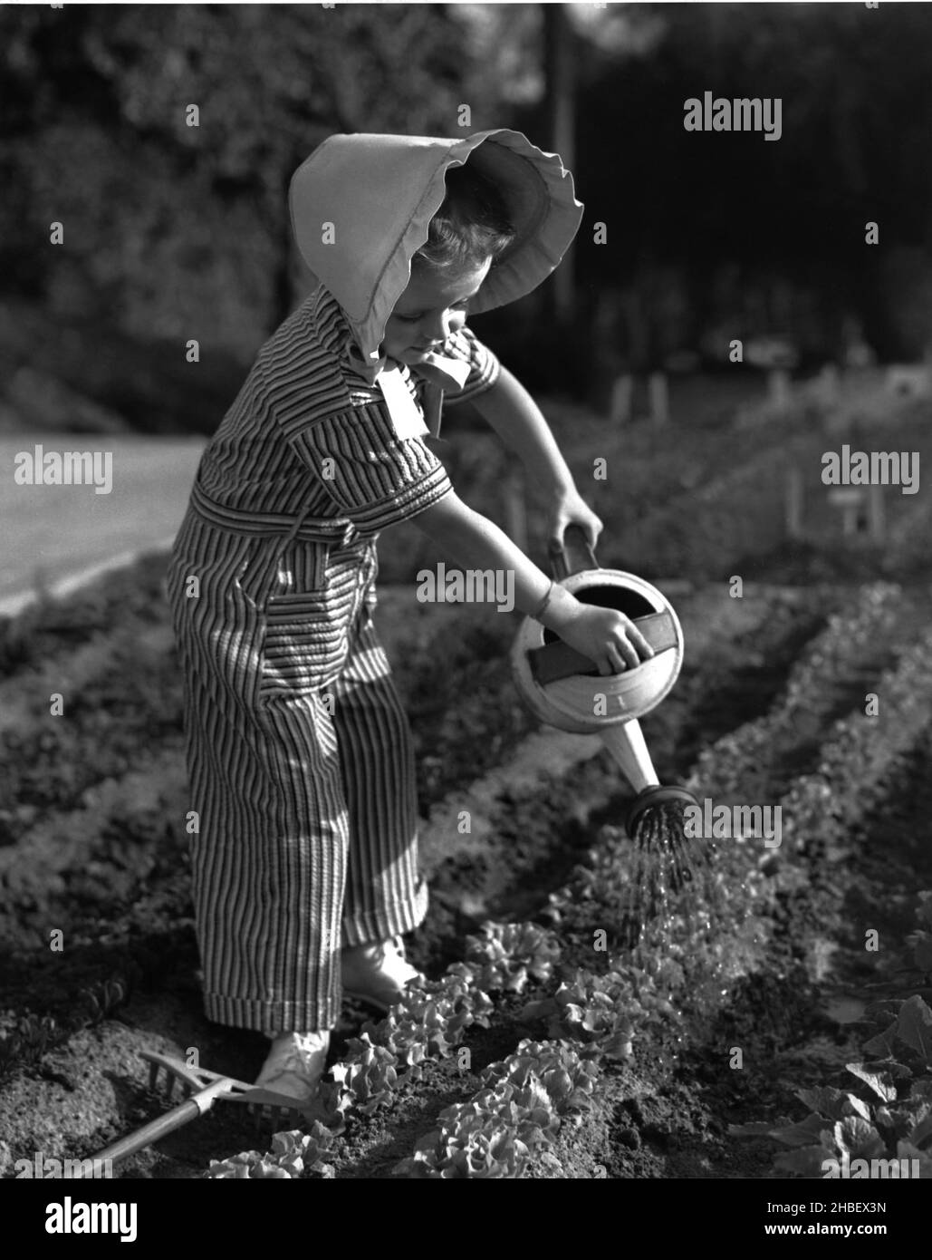 Fille dans un ensemble à coiffer et grand chapeau de chapeau de chapeau de chapeau arrosoir plantes dans un grand jardin avec un arrosoir.Vers 1945 Banque D'Images