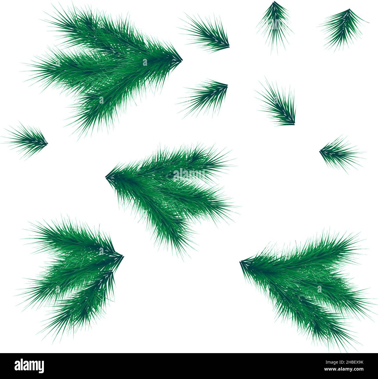 Collection de branches de sapin réalistes pour sapin de Noël, pin.Vecteur Illustration de Vecteur