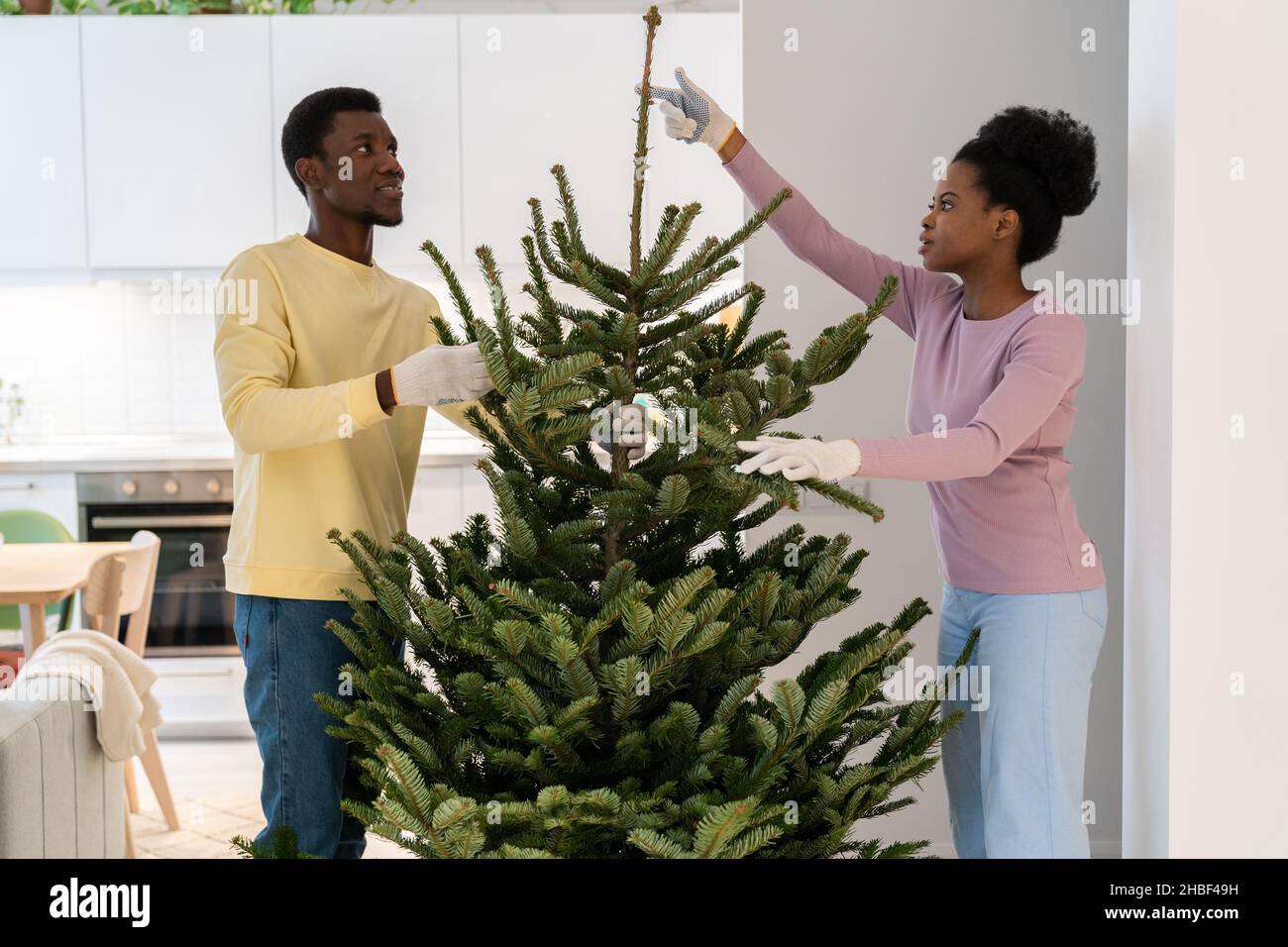 Un jeune couple afro installe du pin frais à la maison pour le nouvel an et la fête de noël dans son propre appartement Banque D'Images