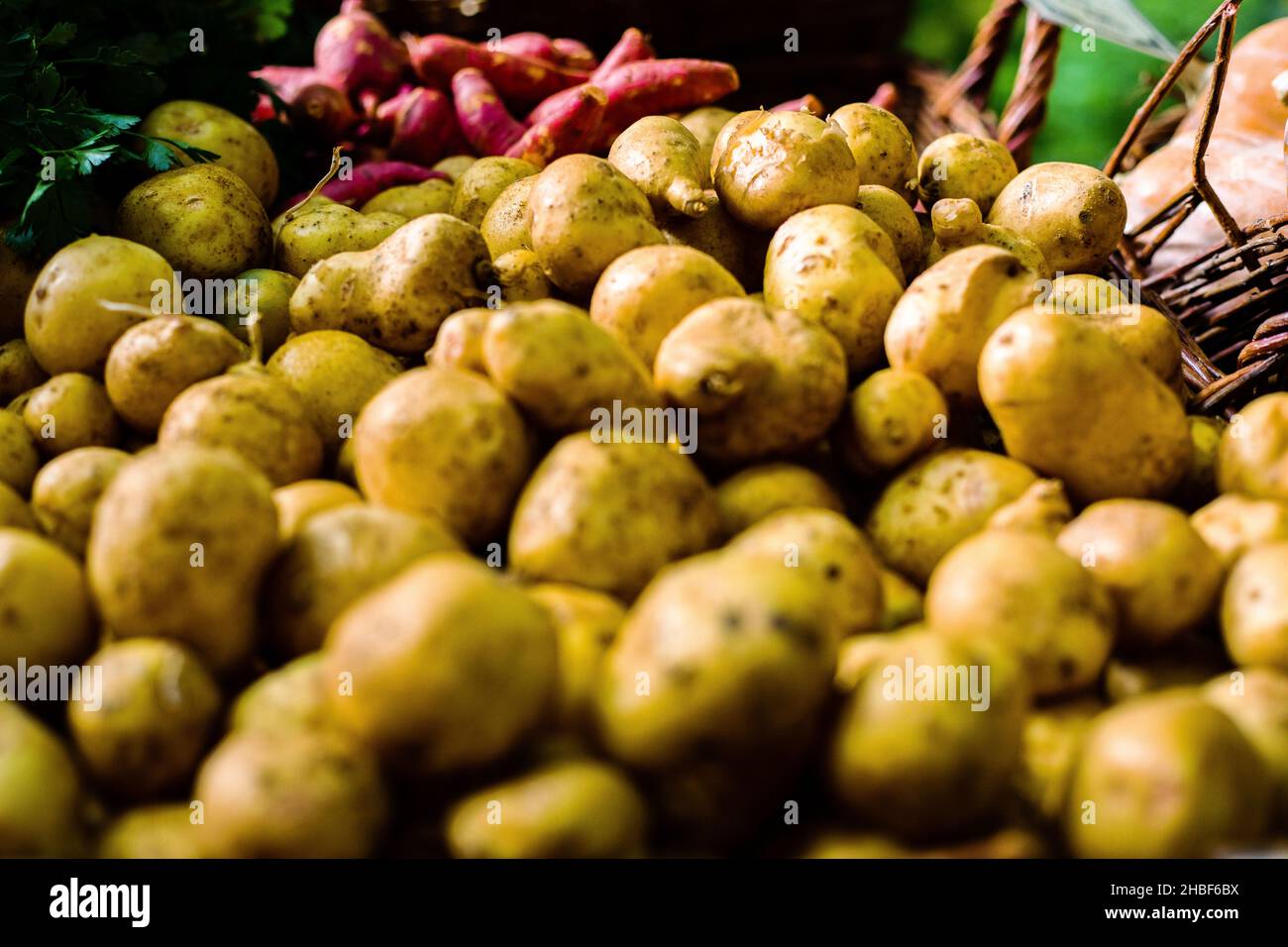 Pommes de terre du marché agricole Banque D'Images