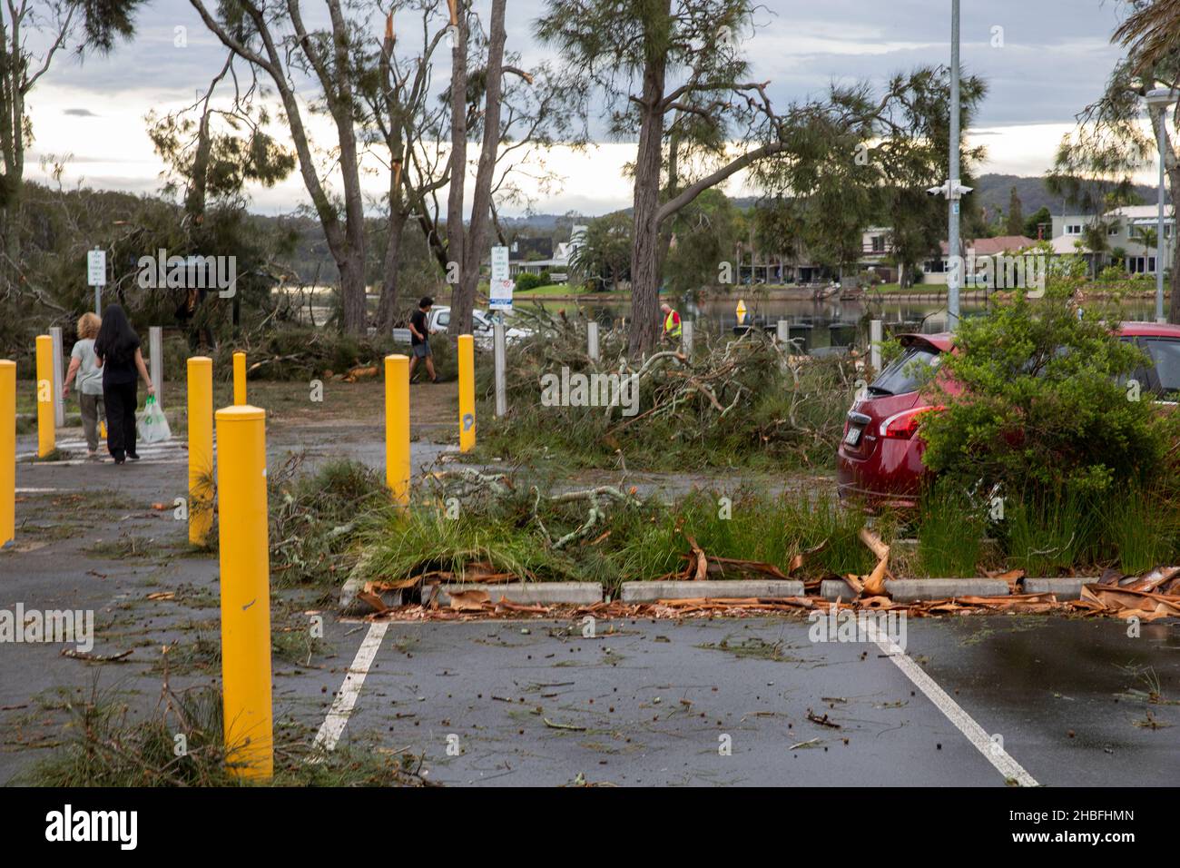 La tempête estivale de freak a fait tomber le carnage et la mort à Narrabeen sur les plages du nord de Sydney, la Nouvelle-Galles du Sud, les arbres et les lignes électriques en Australie Banque D'Images