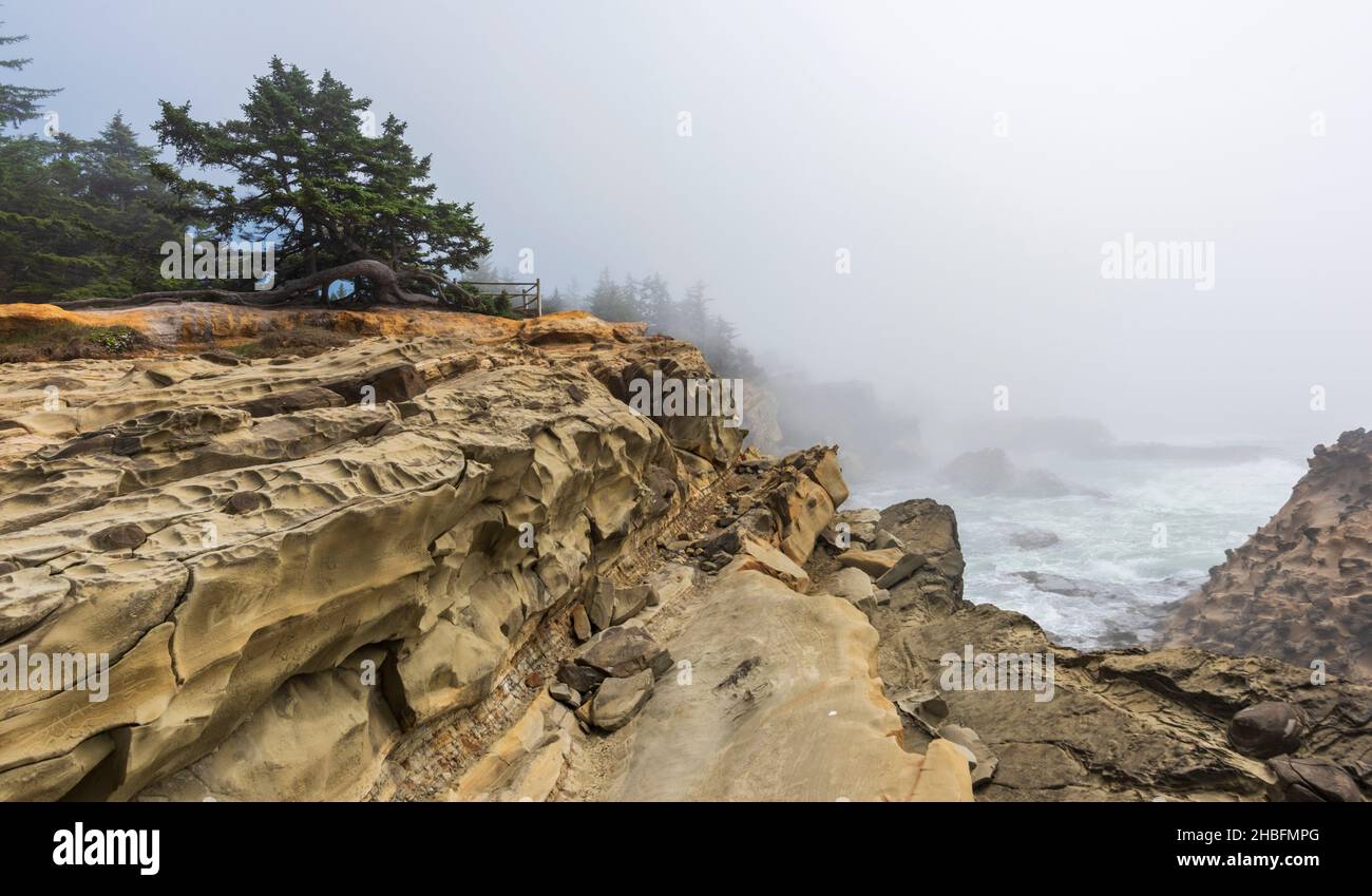 Formations de grès fantasques sur la côte du Pacifique, parc national Shore Acres, Oregon, États-Unis Banque D'Images