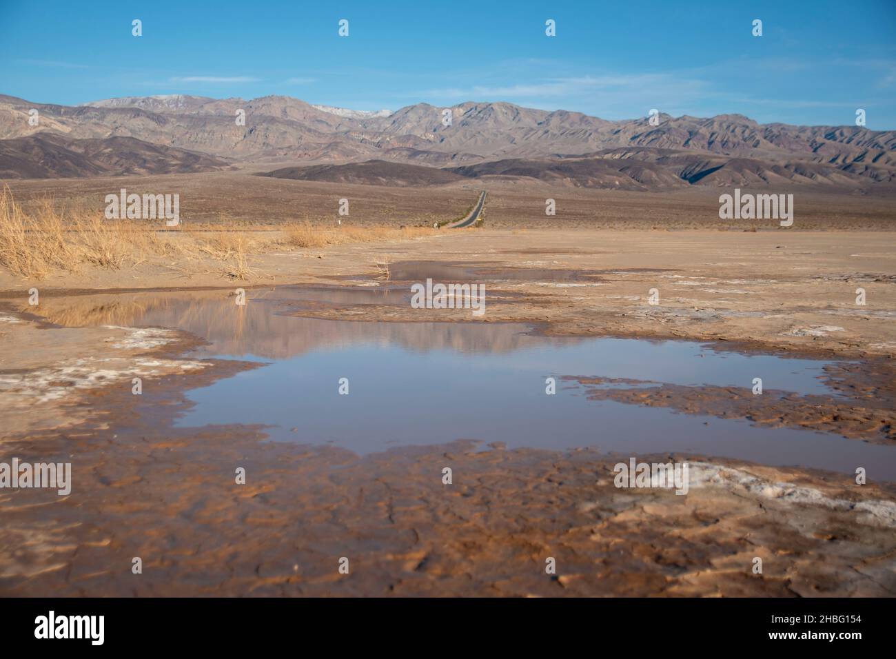 La vallée de Panamint, dans le parc national de la Vallée de la mort, offre de nombreux sites intéressants, tels que des squelettes de voitures rouillées et les rares flaques laissées par la pluie. Banque D'Images