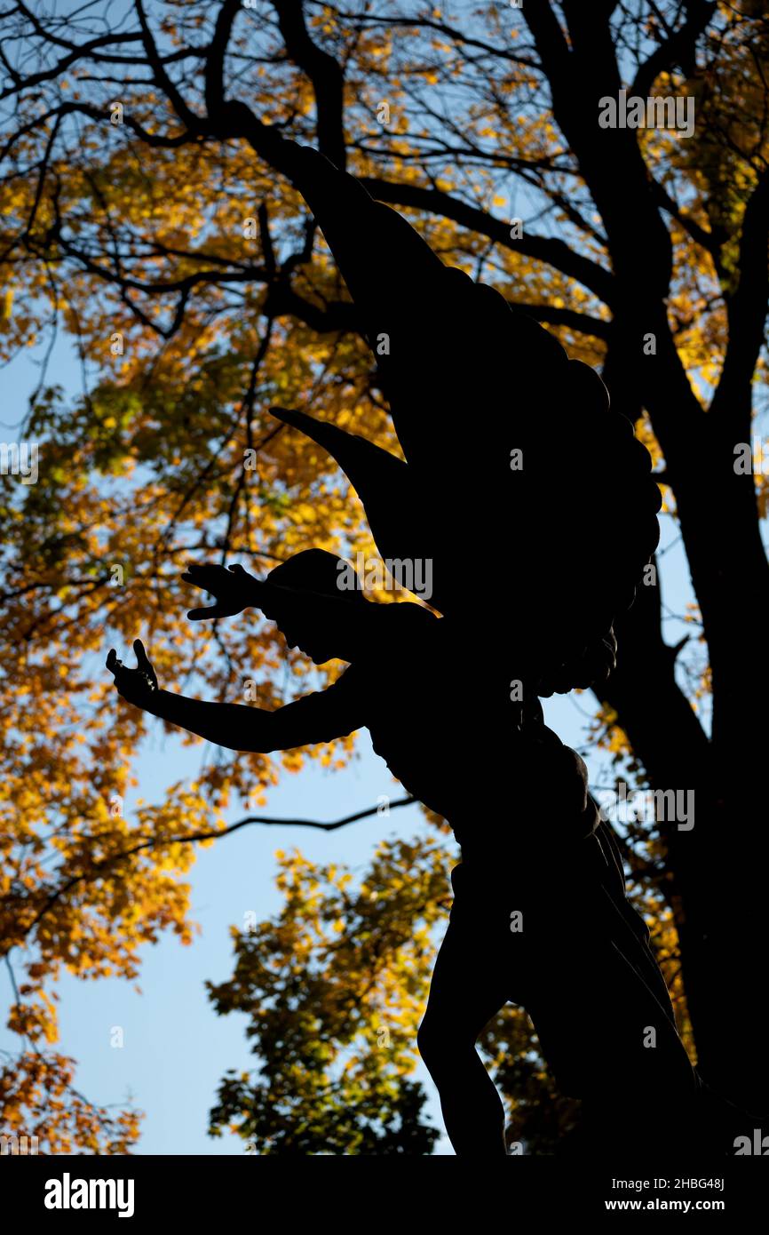 Ange statue silhouette en posture expressive contre l'arbre d'automne dans la vieille nécropole, cimetière historique de Powazki, Varsovie, Pologne. Banque D'Images