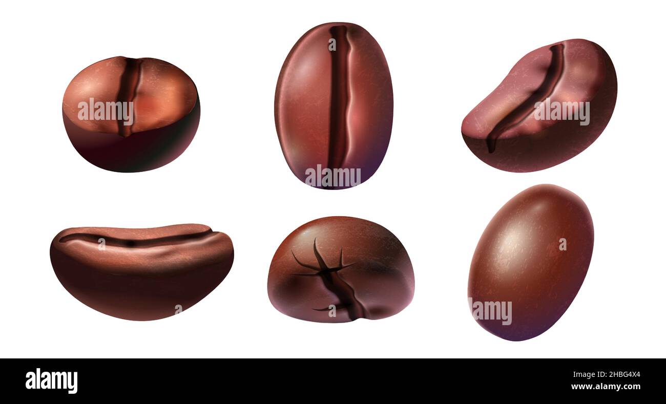 Grains de café noirs réalistes pour les boissons chaudes du petit déjeuner.Vue latérale et sur le dessus du grain espresso.Graines de plantes de café grillées.Jeu de vecteurs de grains de café Arabica Illustration de Vecteur