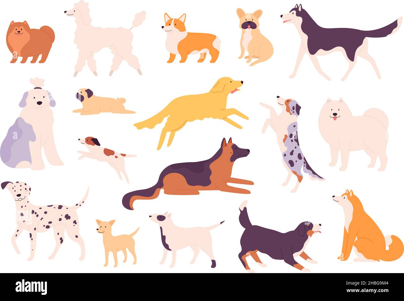 Dessin animé chiens de race drôle en poses, dalmatien, corgi et bulldog.S'asseoir, se tenir debout et sauter un animal de compagnie.Labrador, samoyed et ensemble de vecteurs de caniche Illustration de Vecteur